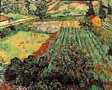 Vincent van Gogh Field with Poppies painting